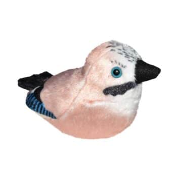 Häälega lind pasknäär